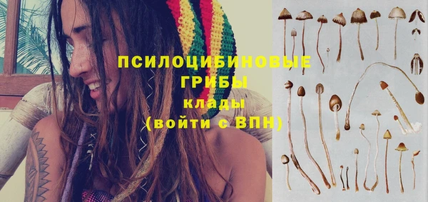 мескалин Белокуриха