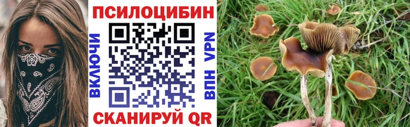 мориарти как зайти  Пионерский  Псилоцибиновые грибы мицелий 