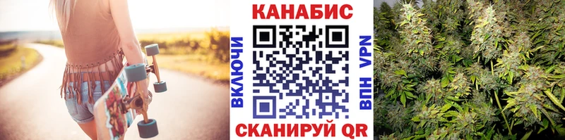 где купить наркотик  Пионерский  Бошки марихуана тримм 